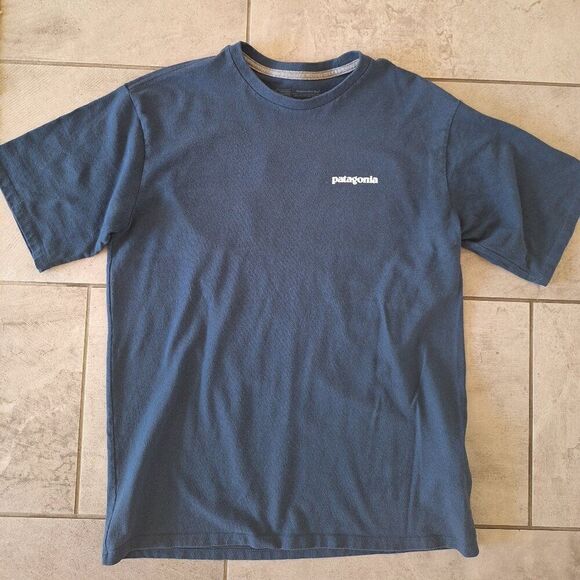 Men's Patagonia t-shirt size small - Picture 1 of 4